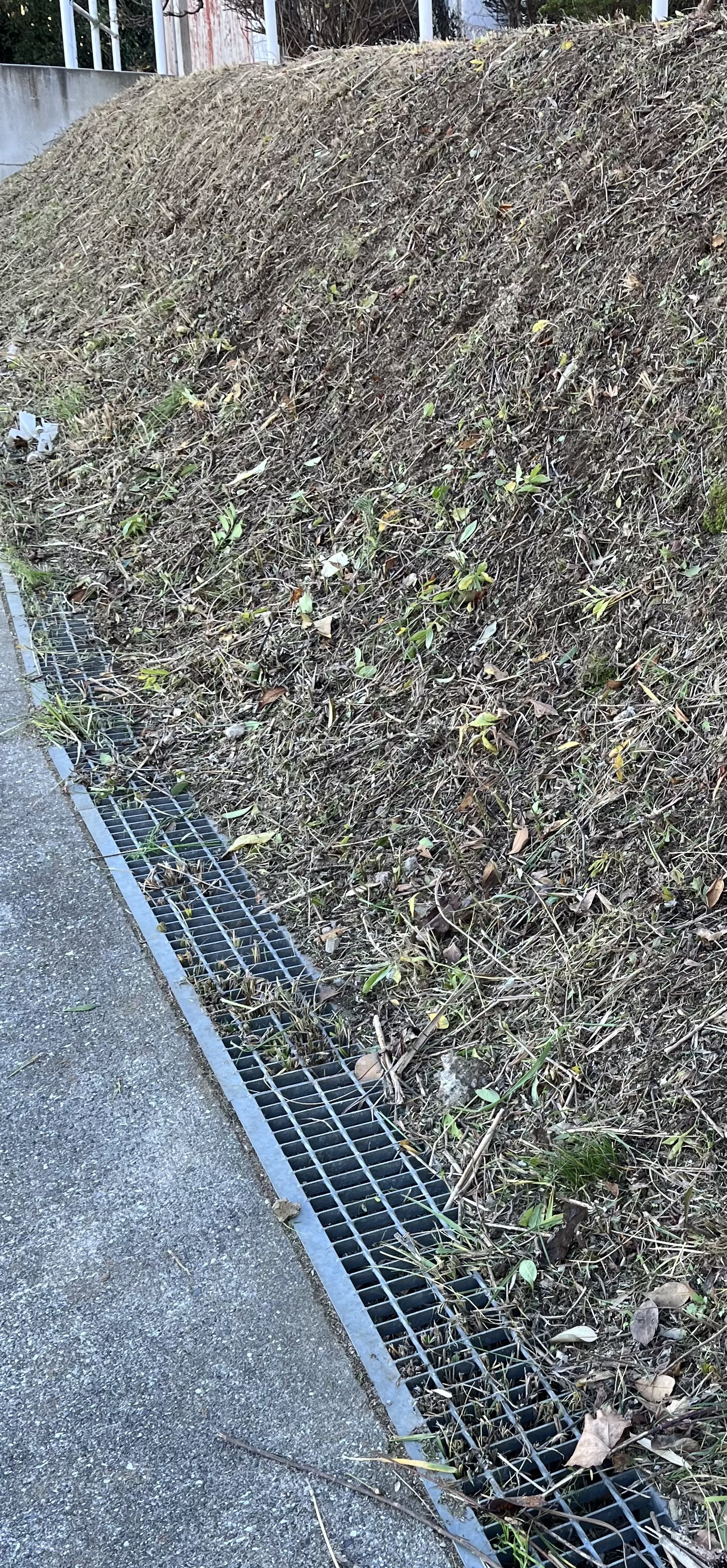 草刈り 作業後