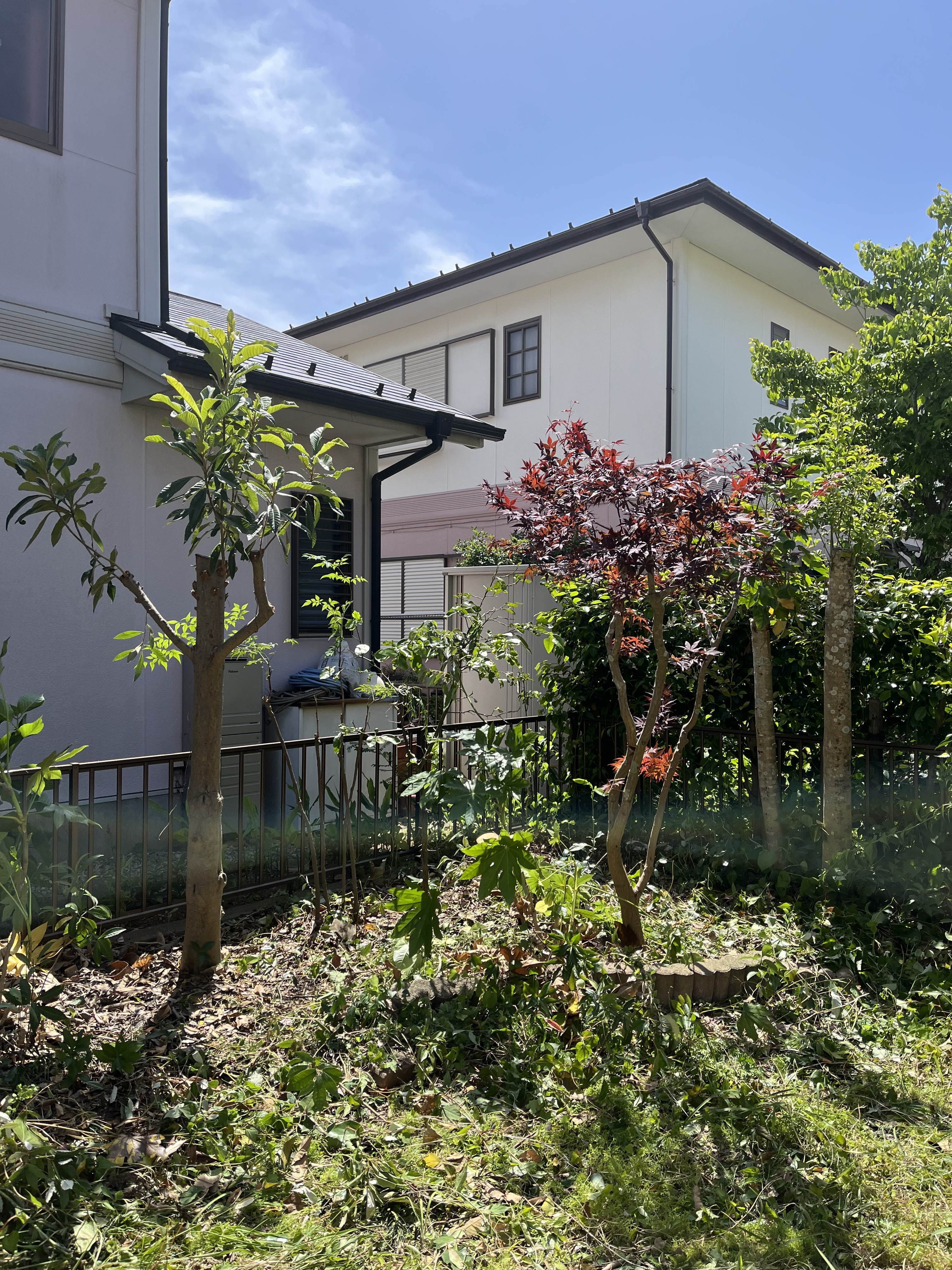 庭木剪定 作業後